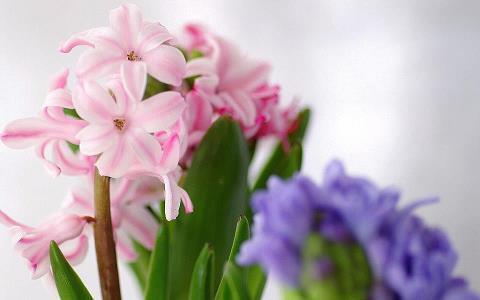 培养良好心态的小故事，宁静致远：净化心灵方可宁静