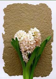 积极主动的感悟与思考句子32条