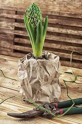 早安心语：幸福的人喜欢阳光，伤心的人偏爱风雨_早安心语正能量