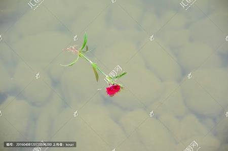 熇