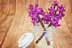 风吹起如花的流年、而你成为最唯美的点缀
