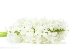 端午佳节给老师祝福语精选77句