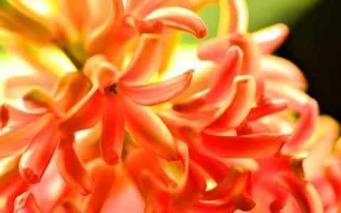 五四青年节祝福语贺词