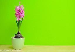 最新土味情话大全 2021抖音超火的一问一答新土味情话