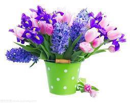 东北话骂人大全恶毒狠句子_减肥正能量狠句子