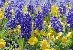 沙雕又可爱的朋友圈文案大全，可盐可甜