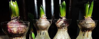 心态平和的小故事3则含感悟