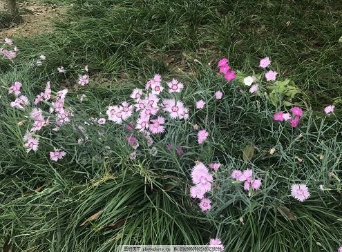川端康成名言