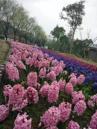 彭德怀杀战马救战士，长征感人的故事