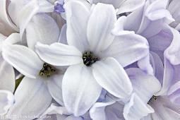 鼠年春节微信祝福语2020