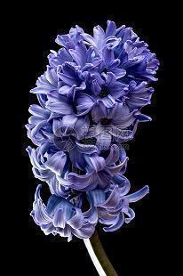 2020年四月励志说说精选50句