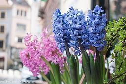 保养好自己的脸的说说 女人保养正能量语句