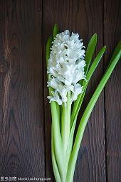 2020教师节贺卡祝福语简短