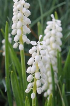 最新关于教师节感恩句子说说