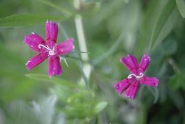 有内涵唯美的古诗句 有深意有内涵的古诗句