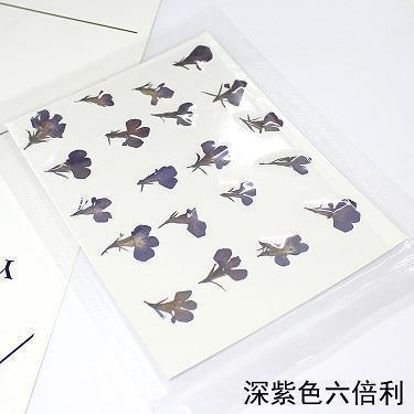 “侠之大者，为国为民”，娱乐圈需要古天乐
