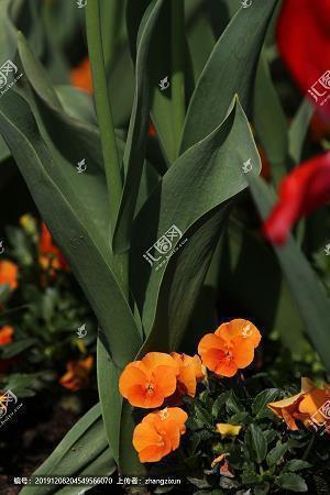 为了幸福而奋斗的句子26条