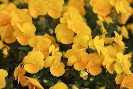 《三体》读后感1500字精算三篇