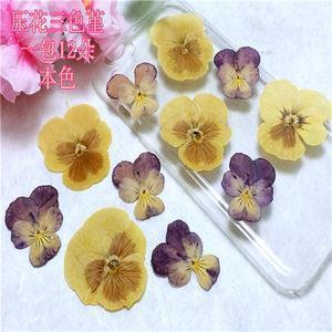 别哭我最爱的人今夜我如昙花绽放