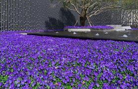 2021元宵节好运祝福短信
