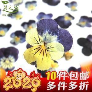 金荆