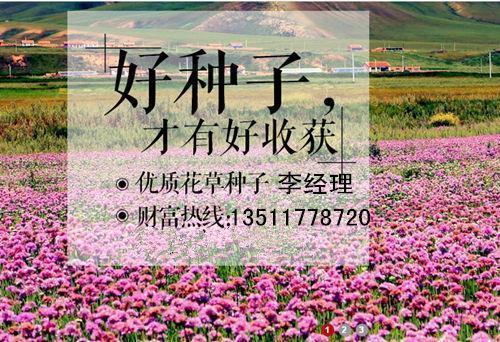 爱因斯坦，专注与洒脱的一代巨人