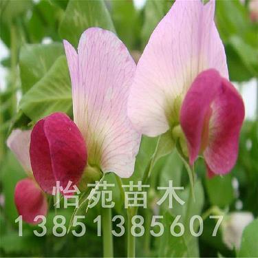 关于把握机会的名言