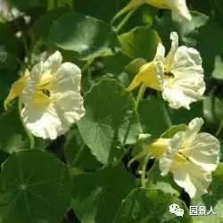 关于交通安全顺口溜简短的