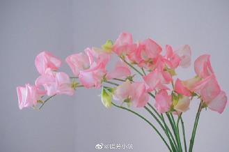 别哭我最爱的人今夜我如昙花绽放_1