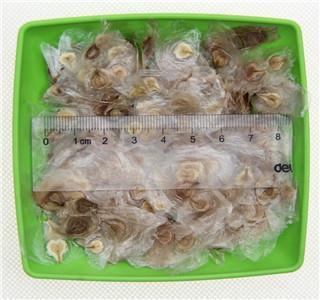 关于开卷有益的名言