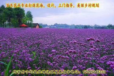 便宜无好货