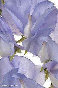 2021教师节走心简短祝福寄语文案说说(精选97条)