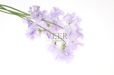 春节祝福语顺口溜2021年
