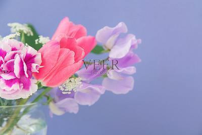 叔本华经典语录