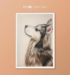 弃琼拾砾