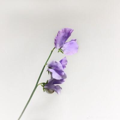 女人管理好自己的身材重要性 朋友圈晒身材的说说