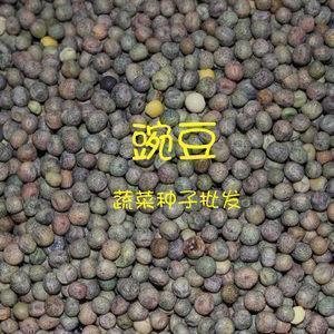 篇章跳脱、语句难懂 少儿出版物质量参差不齐