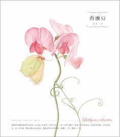 关于清晨瑜伽的唯美句子摘抄大全