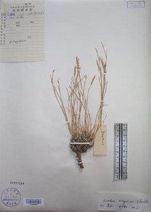 邦客