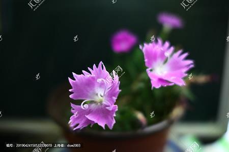 说说聚餐快乐心情说说
