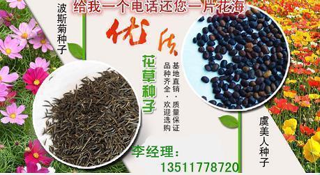 感觉自己废了的说说_感觉心寒简短说说