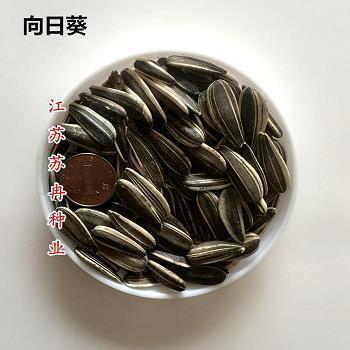 染神刻骨