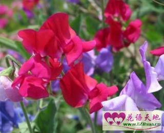 适合大雾发表的朋友圈说说40句