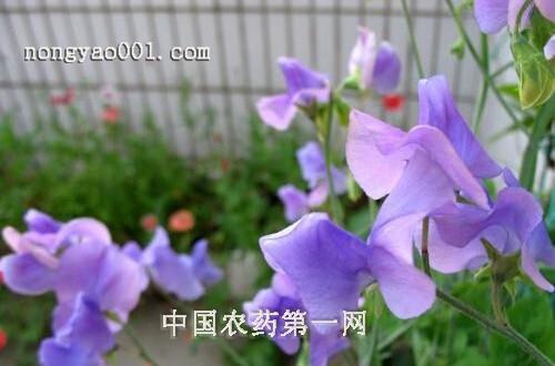 新官上任三把火