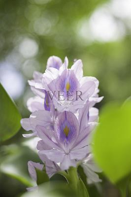 2021夏天美好的文案推荐74句