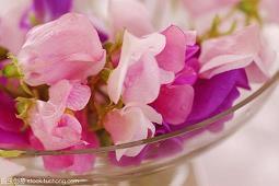 教师节对老师说的祝福语精选(精选53条)
