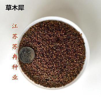 豪悍