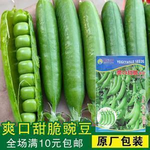 十一月你好朋友圈抖音短句优美句子 2020最新11月抖音短句简短唯美