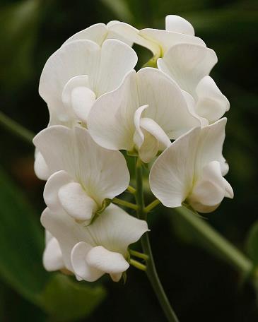 立冬节气发朋友圈