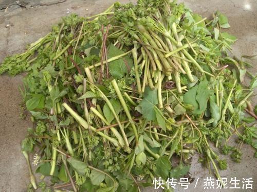 有关青春的名言好句优美句子58条